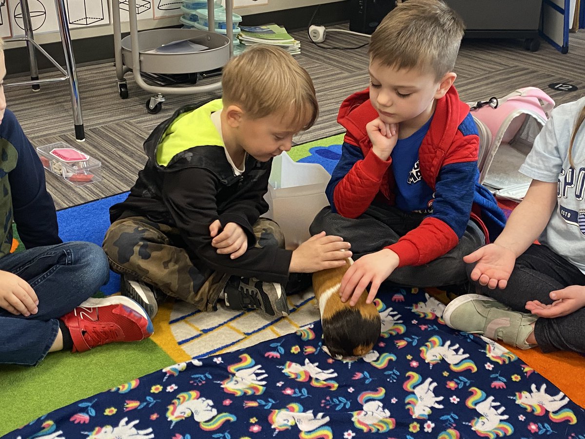 WeckSMSD's tweet photo. We had a special surprise visitor today in K! Shoutout to @DumontSMSD for sharing her class pet with us ♥️ https://t.co/wMQPOMtgXk