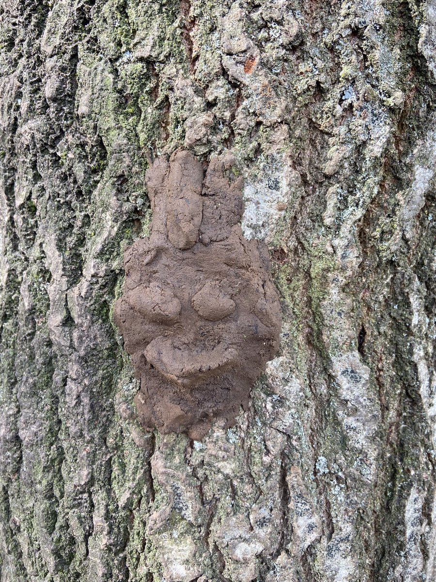 ForestStPauls's tweet photo. Love Friday #ForestSchool we dodged the rain but still had all the lovely mud 😄 The children went on a rollercoaster, had some lovely mud cakes, went on a boat trip, hammered some wood, lit some fires and so much more! 
#ForestSchool  #outdoorlearning  #PLAY  #Chippenham https://t.co/BGyEyK9KEz