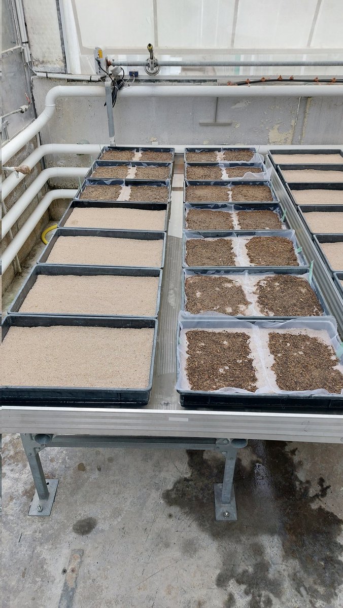 Valentin Deremetz tweet media