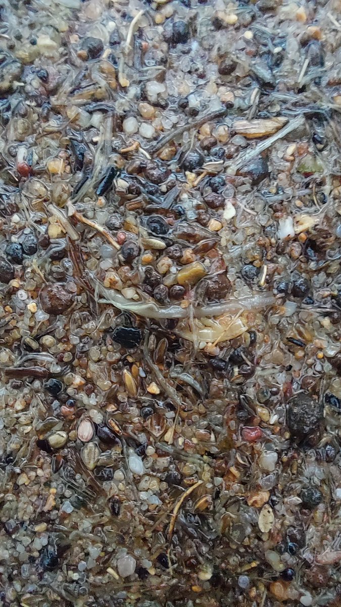 Valentin Deremetz tweet media