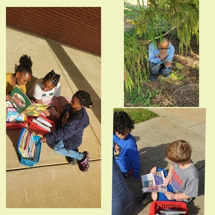 Highland Elementary School tweet media