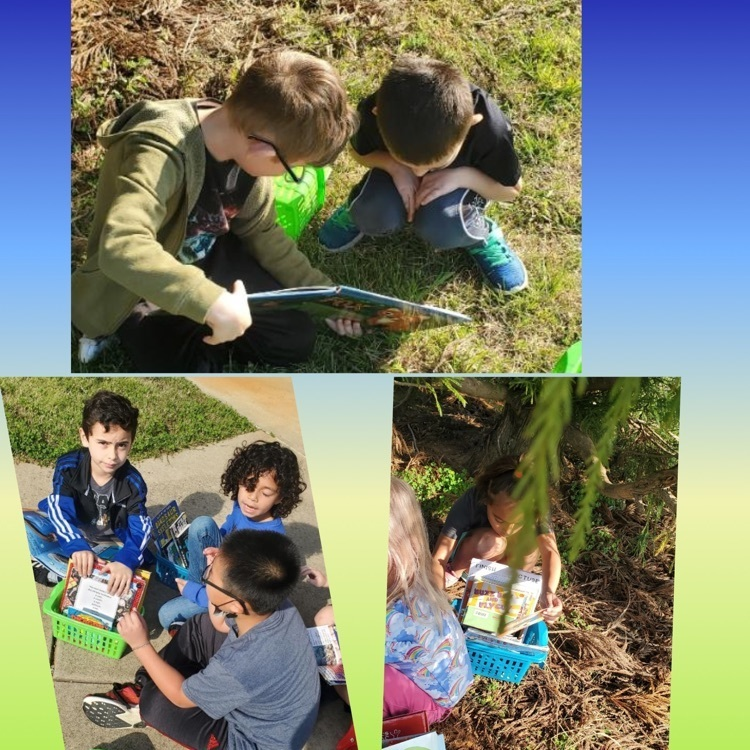 Highland Elementary School tweet media