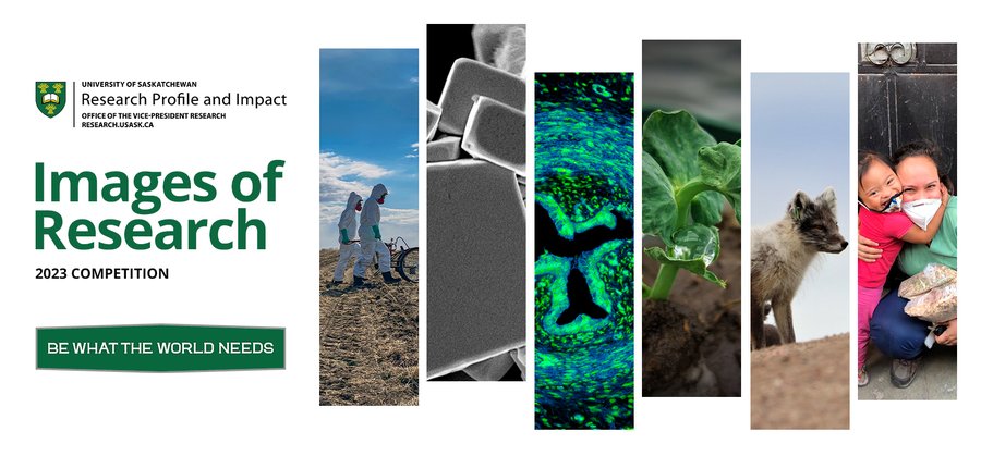 USaskMed's tweet photo. #USask students, faculty and staff showed us what research looks like to them – what does it look like to you? Vote for your favourite image and description by Mar. 31.

Vote here: https://t.co/oANyE0EgS1  

#ImagesofResearch https://t.co/W2je1HVPnB