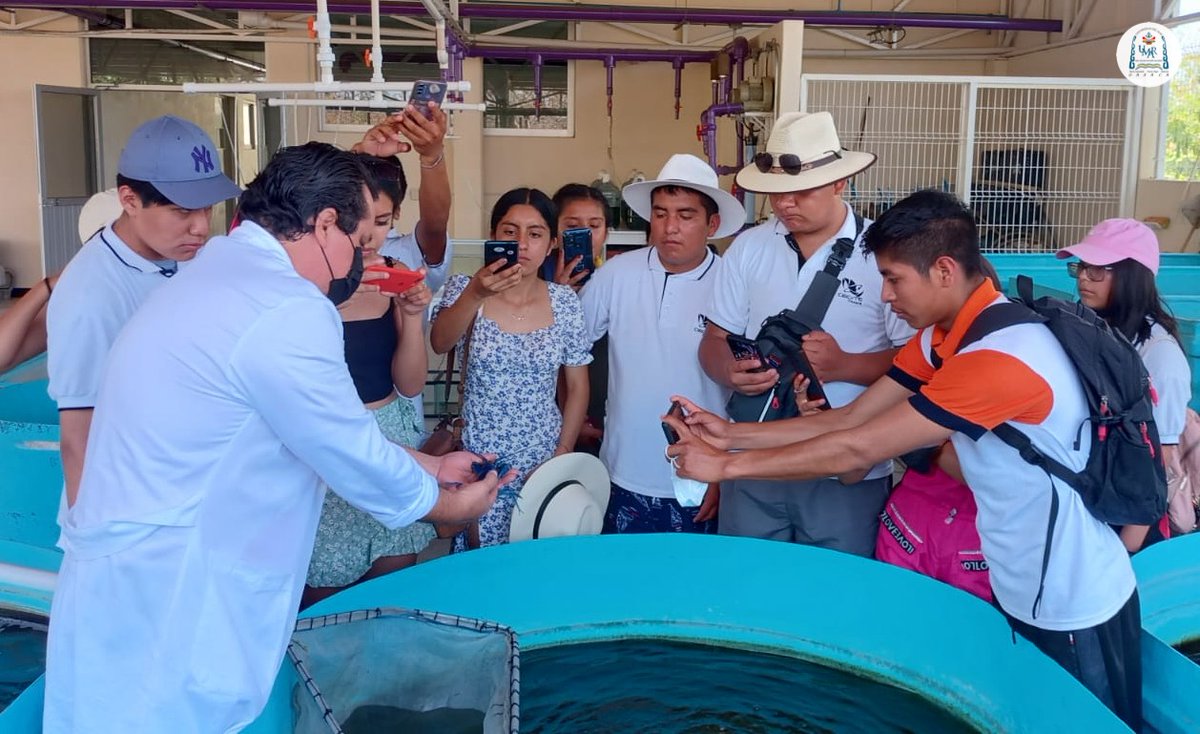 CECyTEOaxaca's tweet photo. 1. Estudiantes del EMSaD12 #JuquilaMixes realizaron un viaje de estudios con el fin de vincular sus aprendizajes, principalmente de la asignatura Ecología y Medio Ambiente. Gran experiencia que fortalece su formación integral y les impulsa a estudiar una carrera de nivel superior https://t.co/bf5JxxRqWW