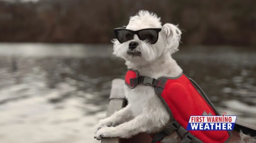 KXAN News tweet media