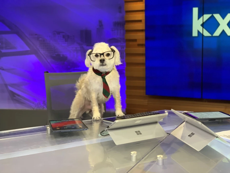 KXAN News tweet media