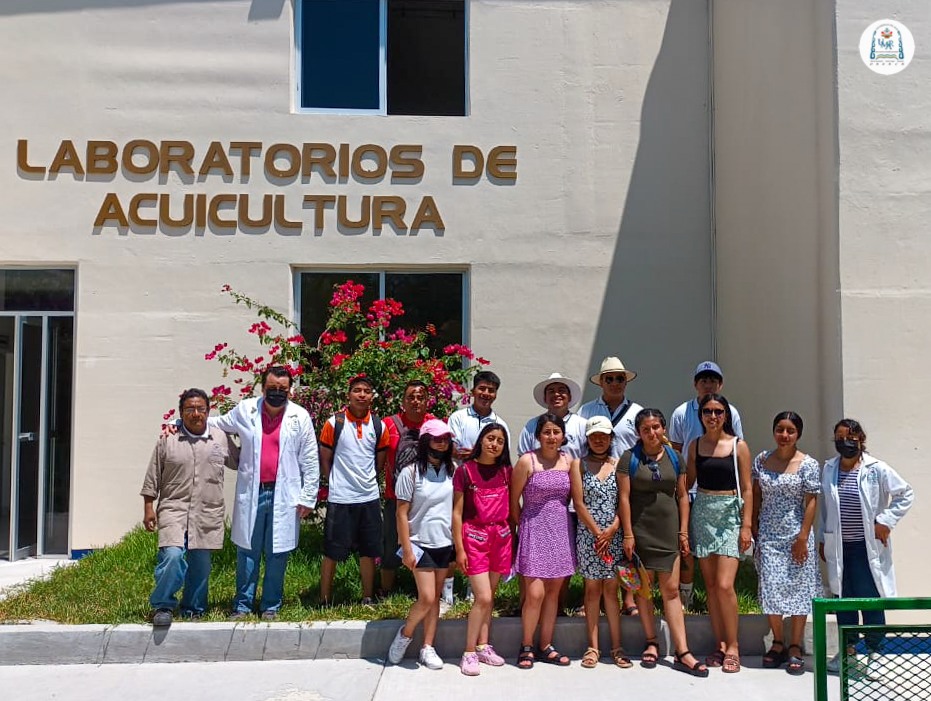 CECyTEOaxaca's tweet photo. 2. A nombre de nuestra DG @blancaluzmtz, gracias @UMAR_SUNEO por los conocimientos que su cuerpo académico brindó a las y los jóvenes del EMSaD12 #JuquilaMixes. Nuestro reconocimiento al docente del proyecto, a las madres y padres por impulsar la #Educación de sus hijas e hijos. https://t.co/HW2fRPsK2N
