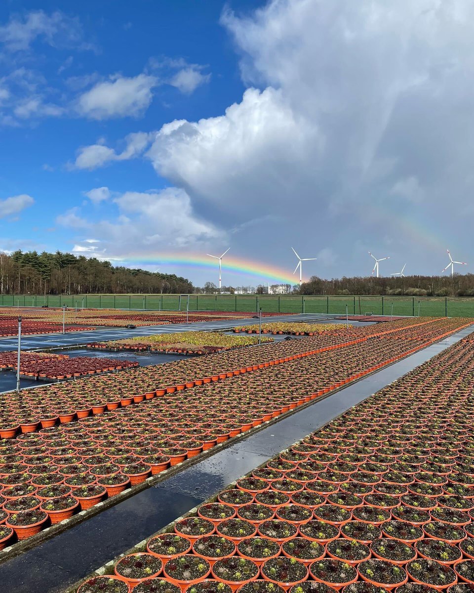 Vandaag sloten we de werkdag af met een mooie regenboog 🌈 

Fijn weekend iedereen ✋🏼