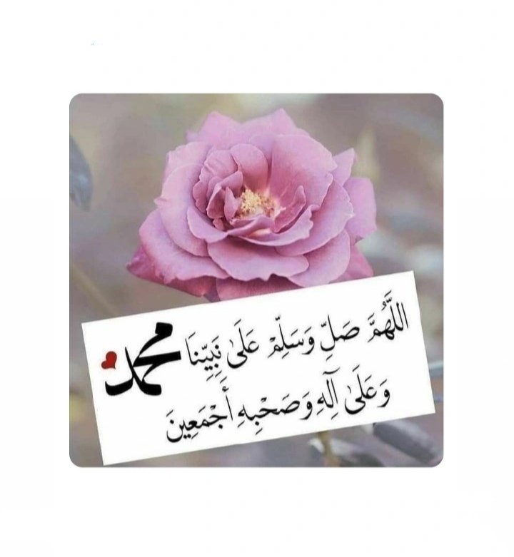 JR__ANA's tweet photo. ْ
ْ
ْ
                        ꜜ..✦            
ْ  

َ

.
.
يا رب صل  عَلى النبي وآله ..
ما اِهتَزَت الاثلاث من نفس الصبا
.
يا رب  صل  عَلى  النَبي وآله
ما لاحَ برق في الاباطح أَو حبا
.
يا رب صل عَلى النَبي وآله
ما أَمت  الزوّار نحوك يثربا
.
ألجــــــوهر۵ • أنــاأ
. https://t.co/kQTv5ecCh4
