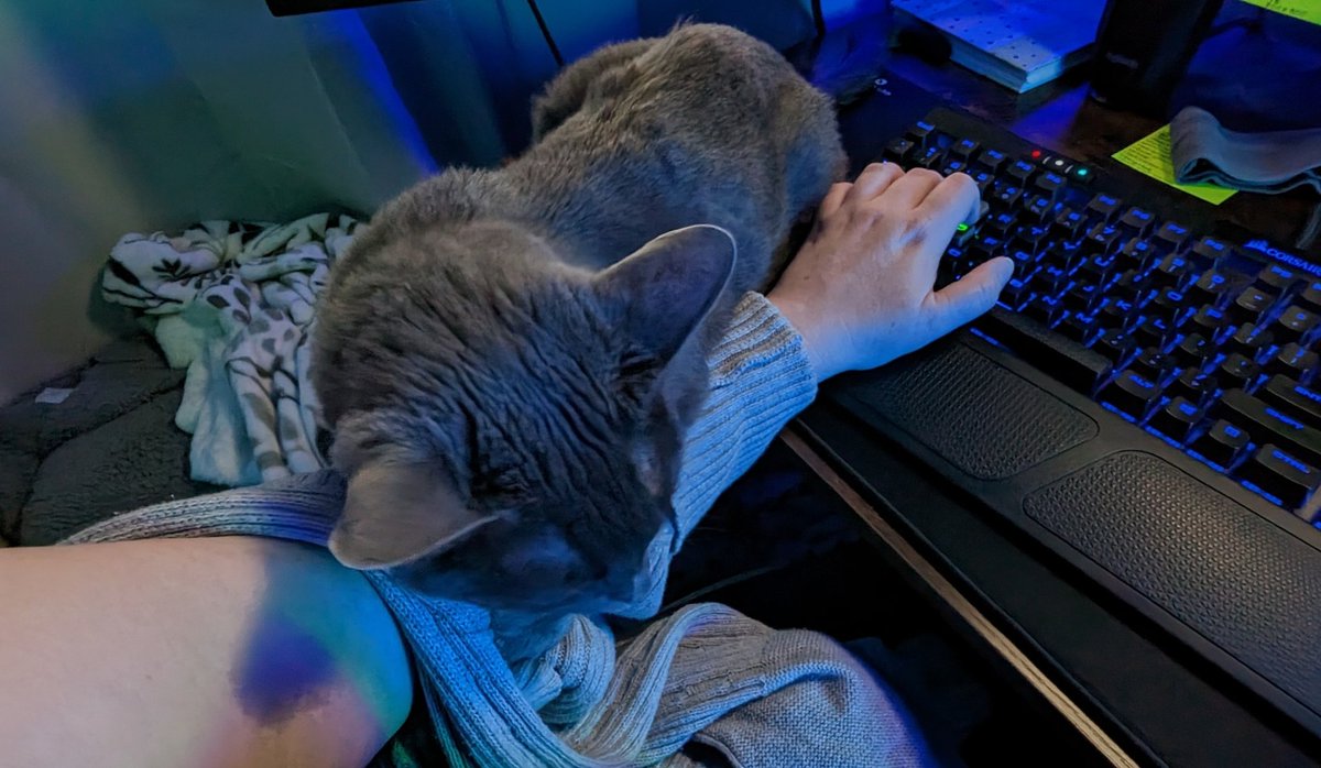 ATypRedhead's tweet image. Mom, stop playing games and pay attention to me...