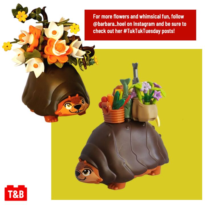 Tips&Bricks tweet media