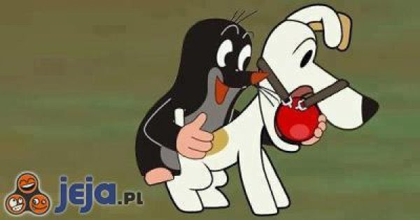 FsAm8CDXsAE24cB?format=jpg&name=small