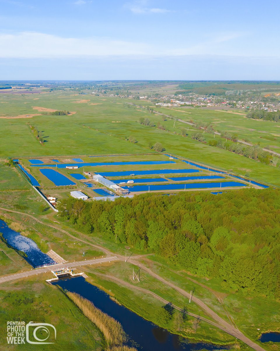 In this week's Featured #Aquaculture Photo, fly high over the countryside in this aerial view of a fish farm alongside a flowing river. 

Take a peek inside #ThePentairLife

#fishfarming #RAS #hatchery #sustainability #seafood