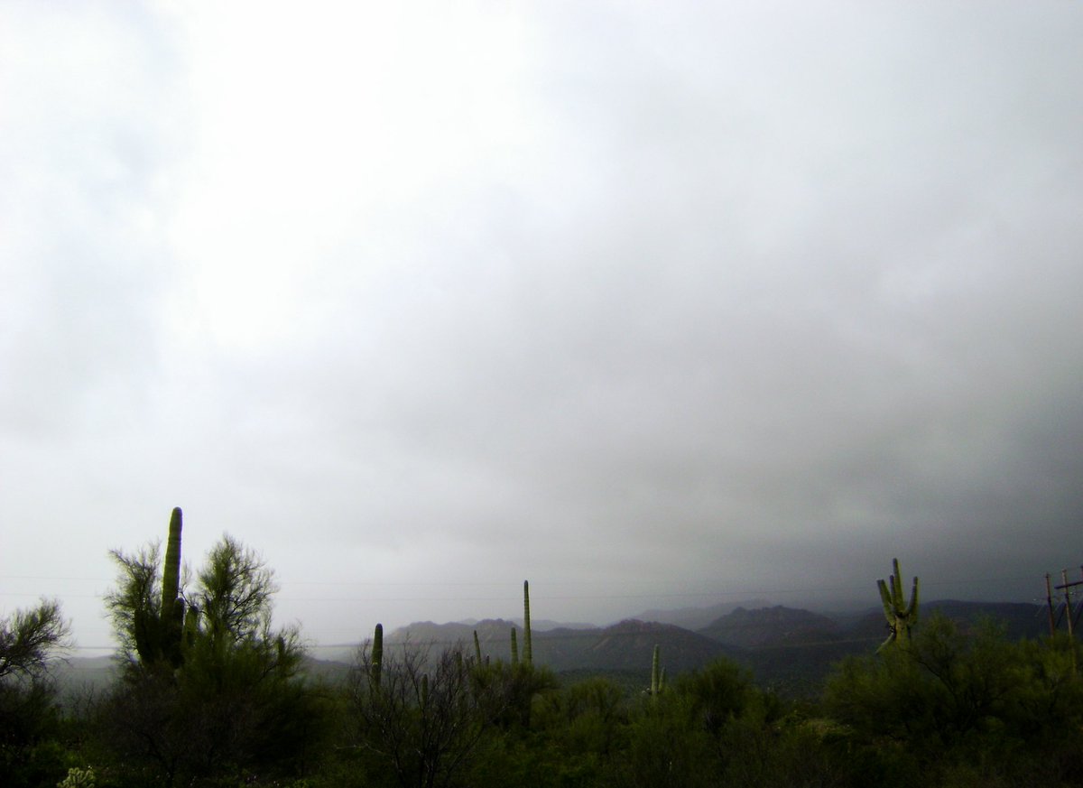 r__ariel's tweet photo. Desert forever https://t.co/GNX62RPKkb