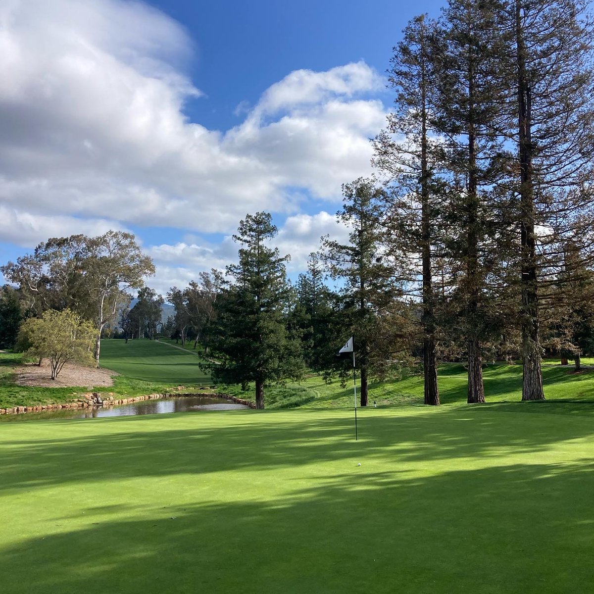 LaRincCC's tweet photo. Who's taking advantage of the sun?! 
Happy Friday from beautiful Los Gatos ☀️ https://t.co/FkuHUpDmLH