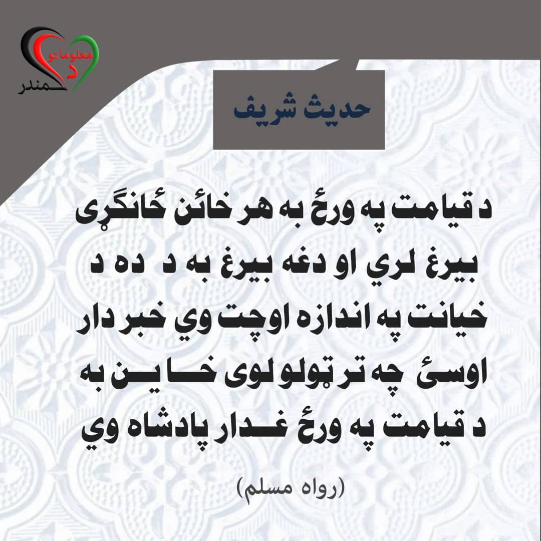 د معلوماتو سمندر (@malomatsamandar) on Twitter photo 