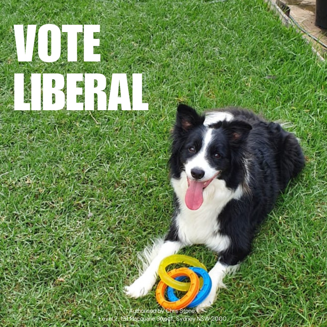 LiberalNSW's tweet photo. #JustVote1Liberal to #KeepNSWMovingForward
#NSWPol #NSWVotes https://t.co/E3JDQBhCpw