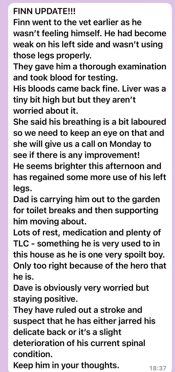 Fabulous Finn®️ tweet media