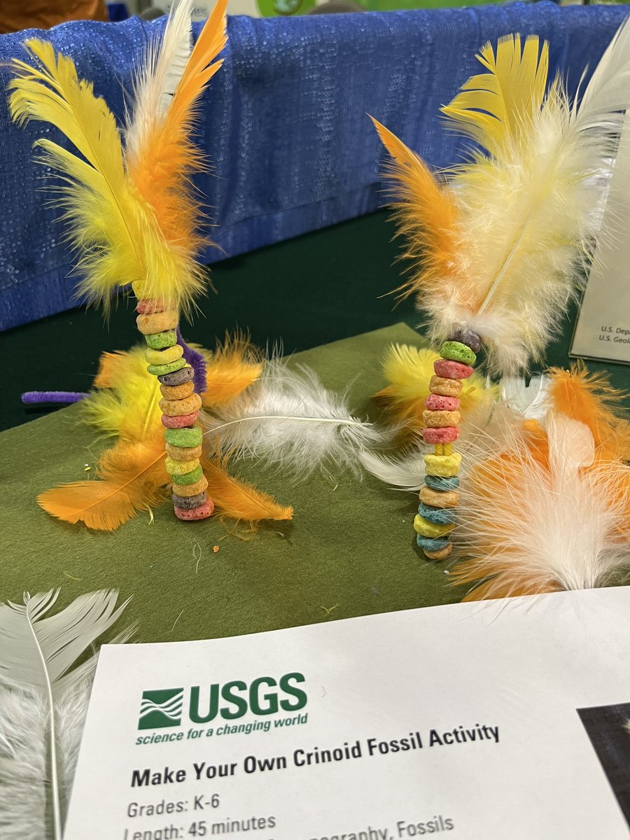Do you like fossils? Drop by the @USGS booth at #NSTA2023 and make a crinoid model, or take home the instructions. (Colors not guaranteed to be accurate.)