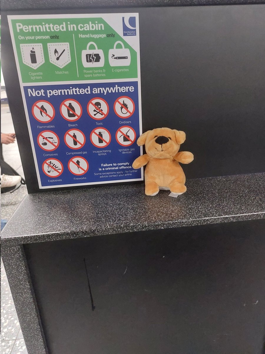 NicolaCircleCM's tweet photo. @DanniiAshtonsL Ashton the bear is permitted on the aircraft...#CircleCM #AVMA23 https://t.co/139MeFlb1F