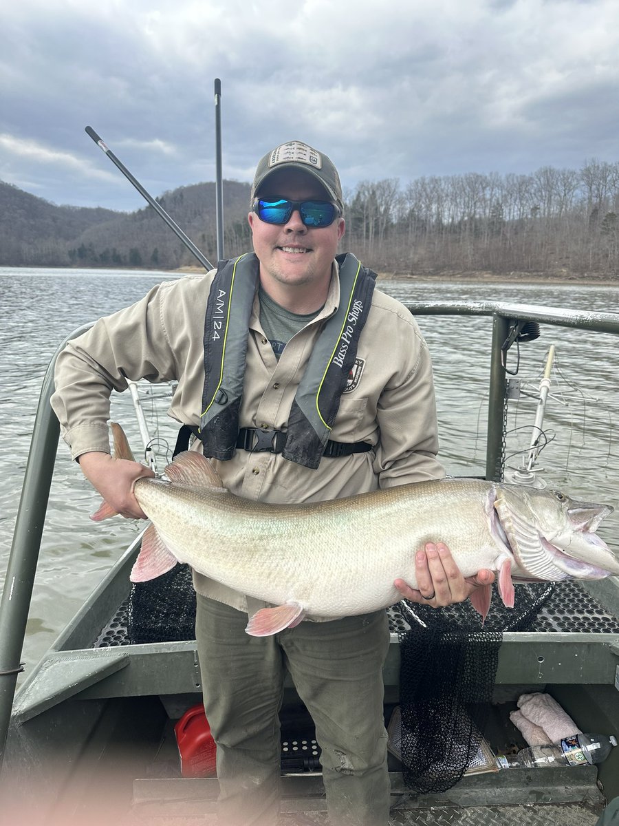 Started the process of Muskie work this week…. Got to meet this Cave Run fish.