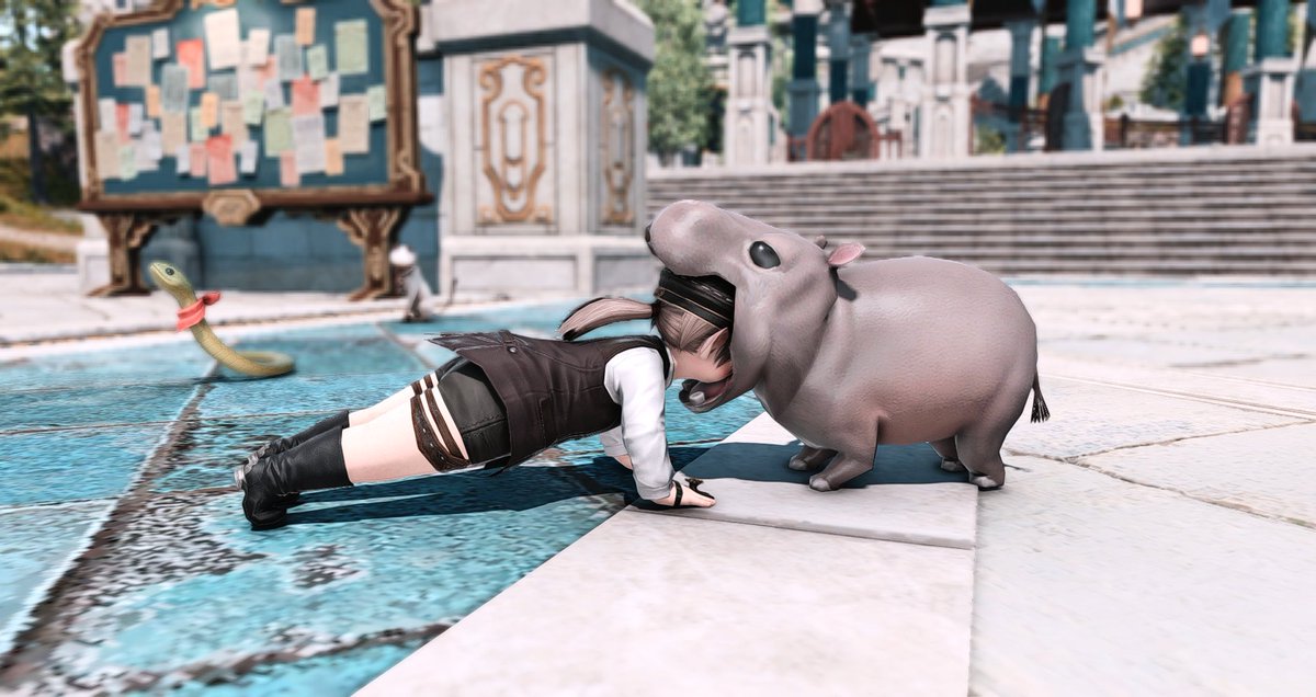 xiv_hihi's tweet photo. https://t.co/aDqBxYRg7o