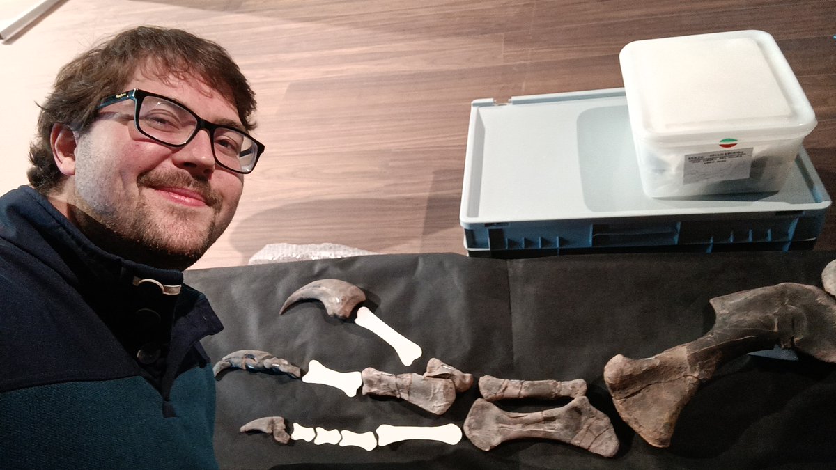 very proud that my Paleoillustration accompanies such an impressive find. the first almost complete spinosaurid arm found in Spain. My face says it all 😊
