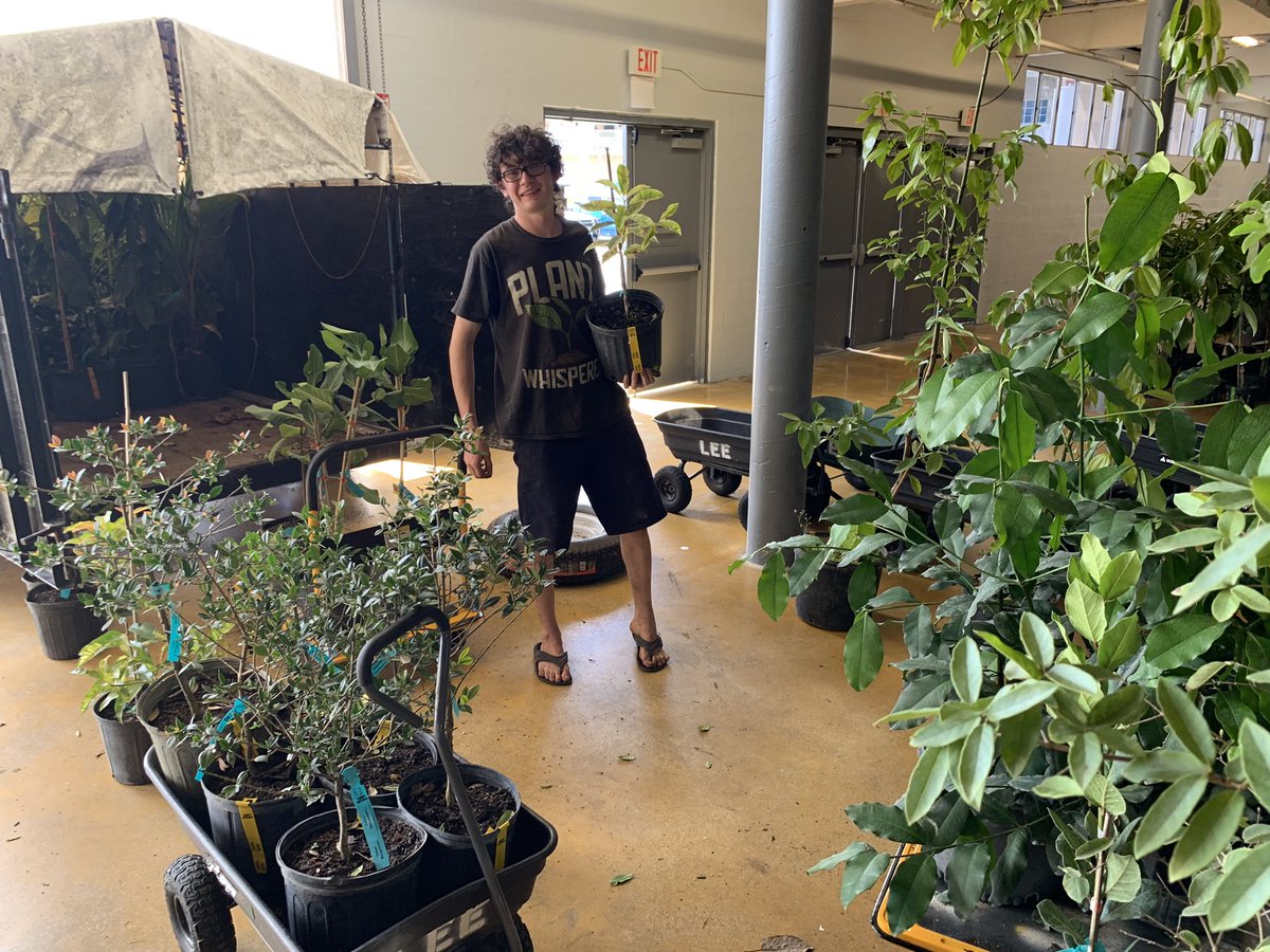 RareFruit_PB's tweet image. 🍊🍋🍍🥑🥭🥝🍈
It’s a warehouse of Rare Tropical Fruit Trees this year.  
Setting up for Saturdays Big Sale. 
Get here early………

#rarefruit #rarefruittrees #rarefruits #gardening #plantsale #healthyfood #growyourownfood #plinia #florida #westpalmbeach #fruittrees
