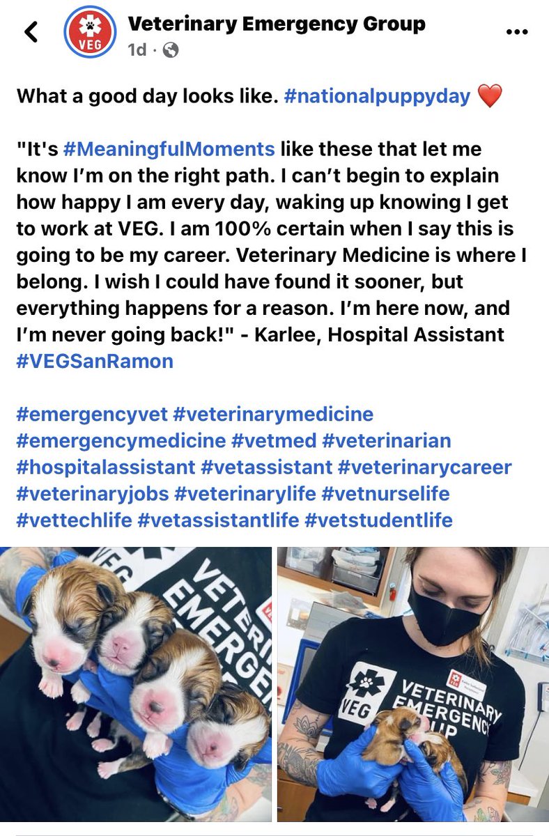 iKARLEE93's tweet photo. 🥰❤️🥹 @TheVEGolution #VEGSanRamon #veterinaryemergencygroup #vetmed #vetassistant #vettech #vetlife https://t.co/jbOv3tUMFb