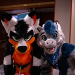Photo by Swiftfeather (@DragonSwifty)