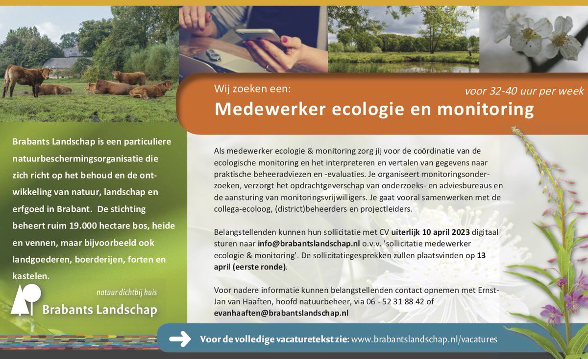 Ernst-Jan v Haaften tweet media