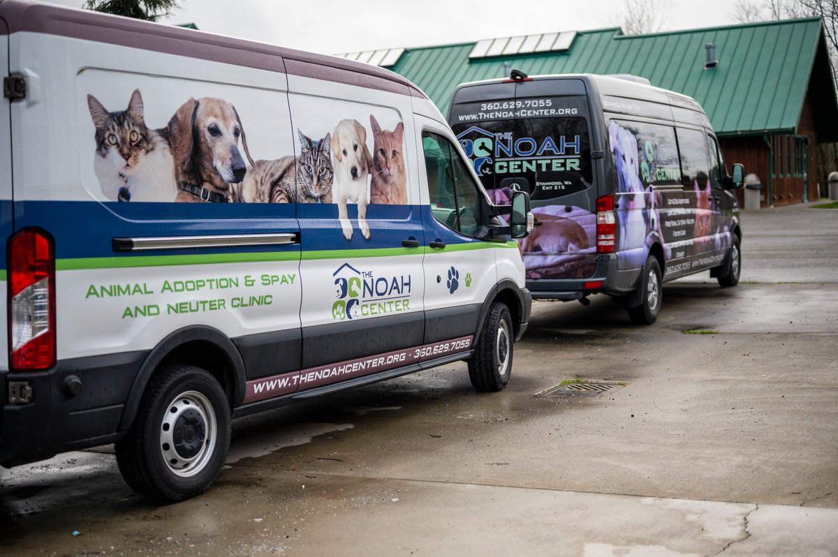 New furry friends arrive from overcrowded shelters nearly every day. Come see our currently available pets! 
Woof: thenoahcenter.org/dogs 
Meow: thenoahcenter.org/cats 
#thenoahcenter #pnwpets #adoptdontshop