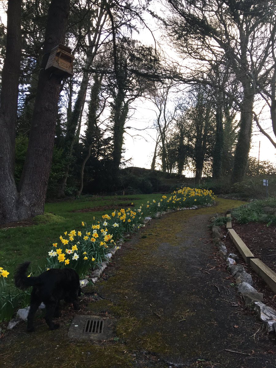 Signs of spring looking lovely <a href="/CliffCollege/">Cliff College</a> today.