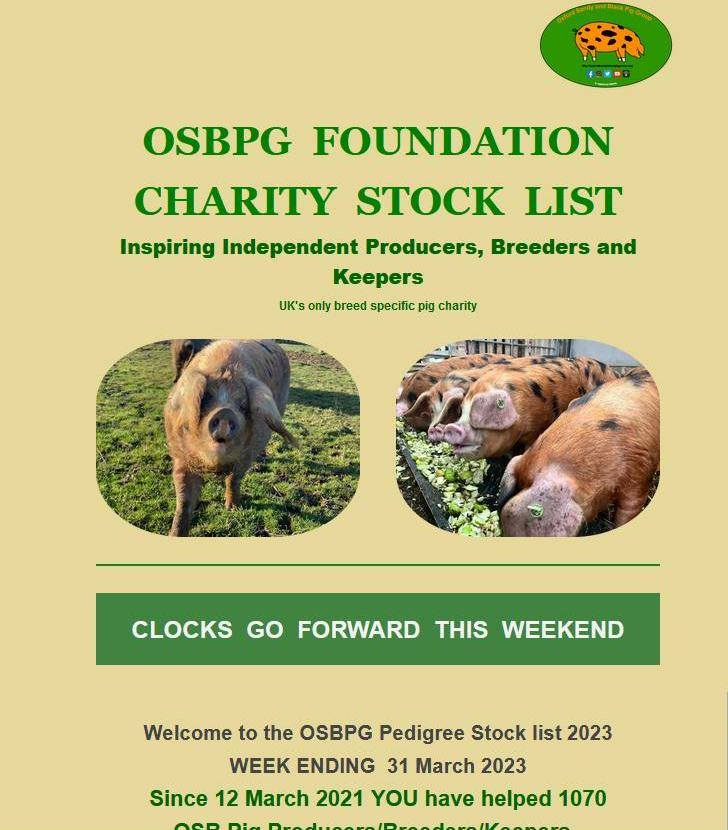 OxfordPig's tweet photo. A good resource which helps our supporters.  Stocklist of availability of our fine OSB Pigs. weaners, finishers and breeding stock.  #inspiringothers #osbpgcharity #supportbritish subscribe via https://t.co/DqizPVuSle https://t.co/Kd1zTT1Ycq