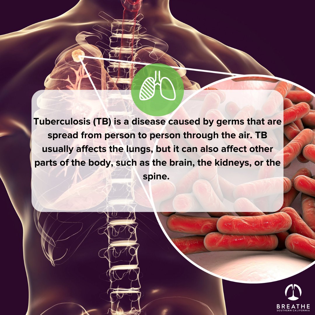 Emphysema Foundation of America tweet media