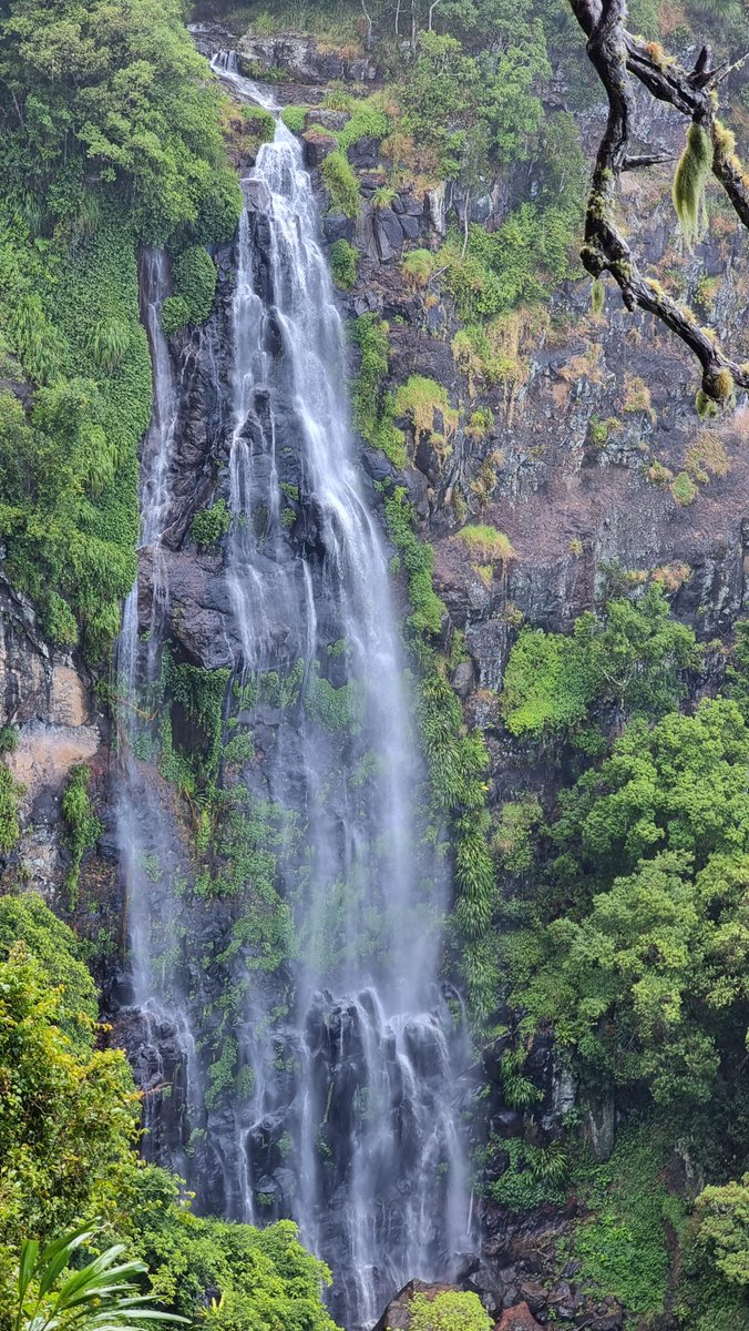 Waterfalls abound at Green Mountains for the Platinum Boot walkers.
Photo by Denise.
#bushwalking #hiking #rainforest #lamingtonnationalpark #queensland #australia #waterfall