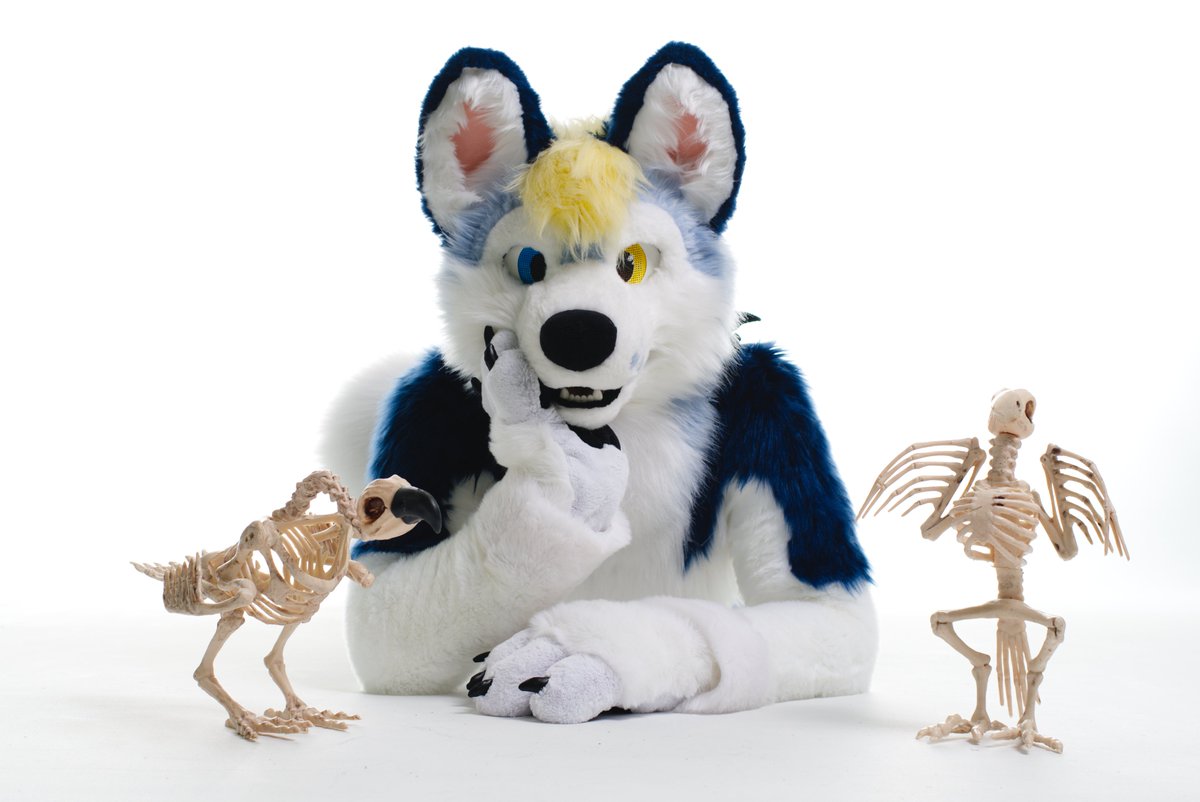 MirekMoony's tweet photo. Promo pictures for KRAZ 2023: Furrworld. Pictures from Vulpy. Thanx foxy=)  https://t.co/Rm73JLib3k https://t.co/O18W1uGFcx