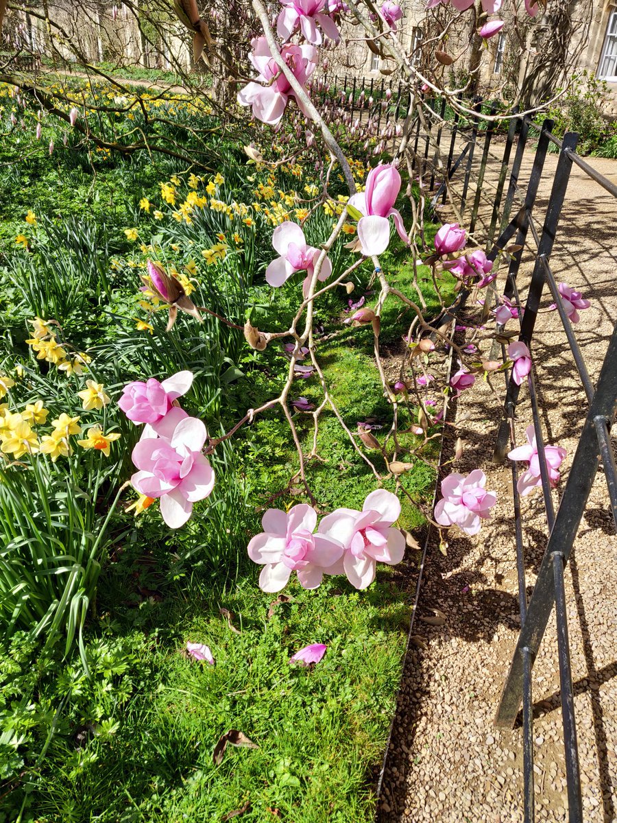 Livinteresting tweet media