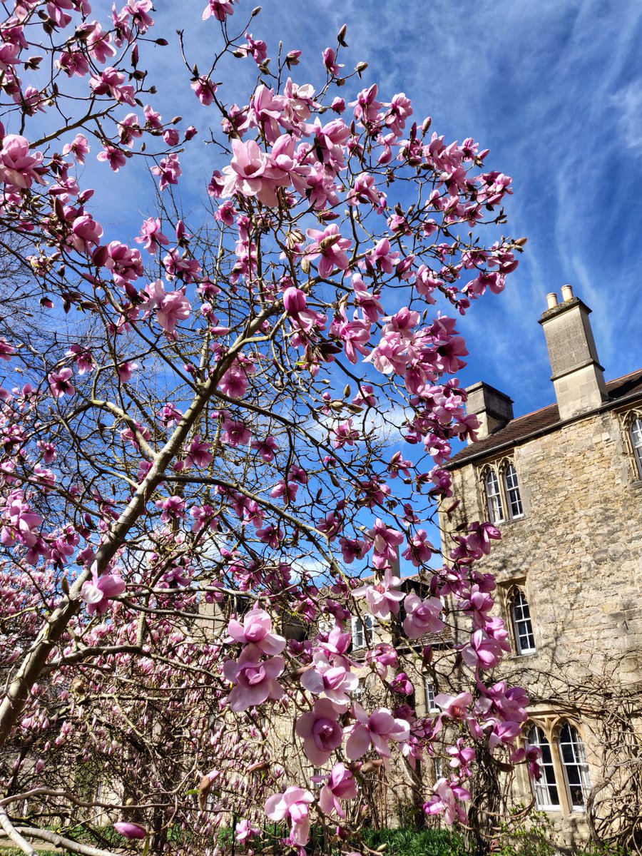 Livinteresting tweet media