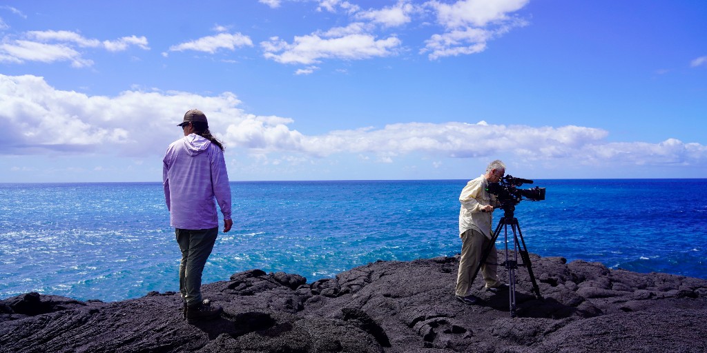 bugsexthedoc tweet media