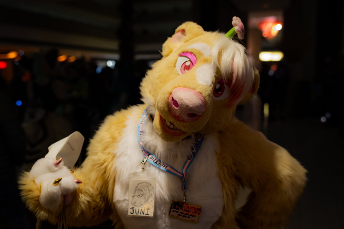 Pic taken of me in my skunk suit in the lobby at MFF 2022. I'm looking at the camera, pictured from the waist up. coincidentally was holding an N95 in one hand when this was taken (p sure i was walking to the headless lounge to change into a fresh one lol)