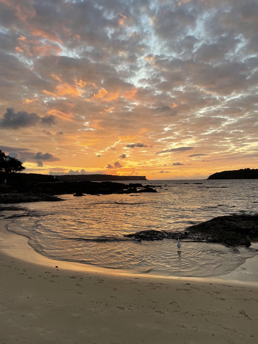 One of the most stunning #sunrise I’ve witnessed. ⁦<a href="/cityofsydney/">City of Sydney</a>⁩
