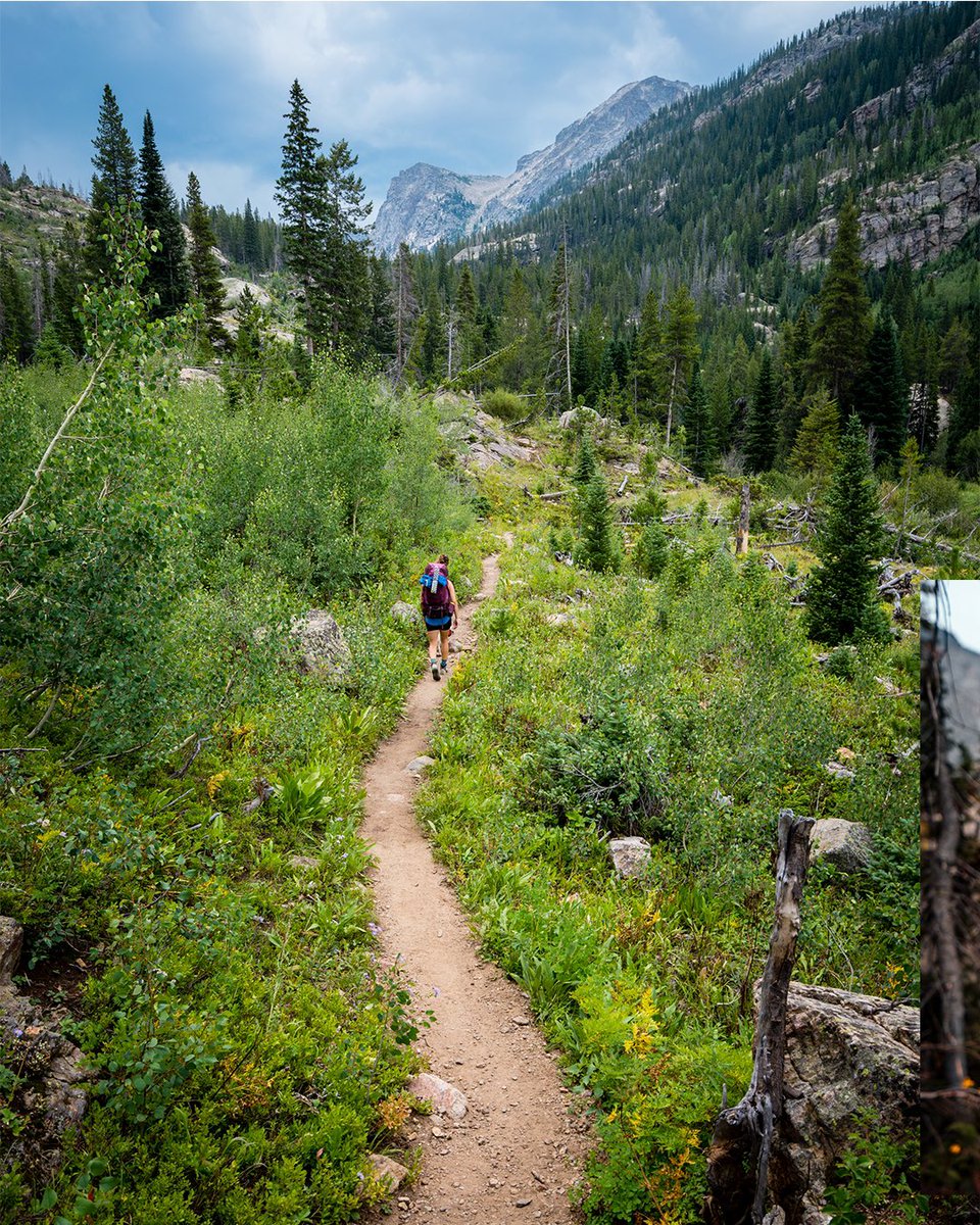 Fr33Water's tweet photo. Check out the full post over on IG: https://t.co/PsyT6mEJLC #coloradohikes #outtherecolorado #trailchat @BackpackerMag https://t.co/dJl6DnVgZR