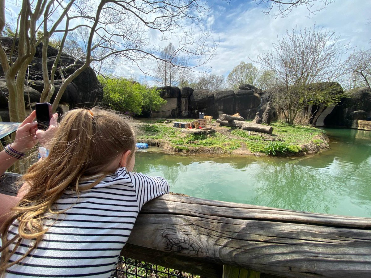 ABC24 Memphis on Twitter "The Memphis Zoo held a big birthday