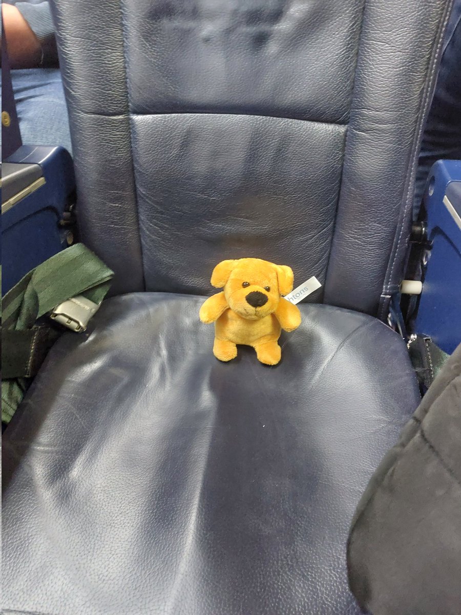 NicolaCircleCM's tweet image. Ashtons off on his holidays! Obviously didn't fancy a trip back to Bury St Edmunds??? 🙄 
#CircleCM #DogGate #AVMA23 #MarketingManagerInTheWild