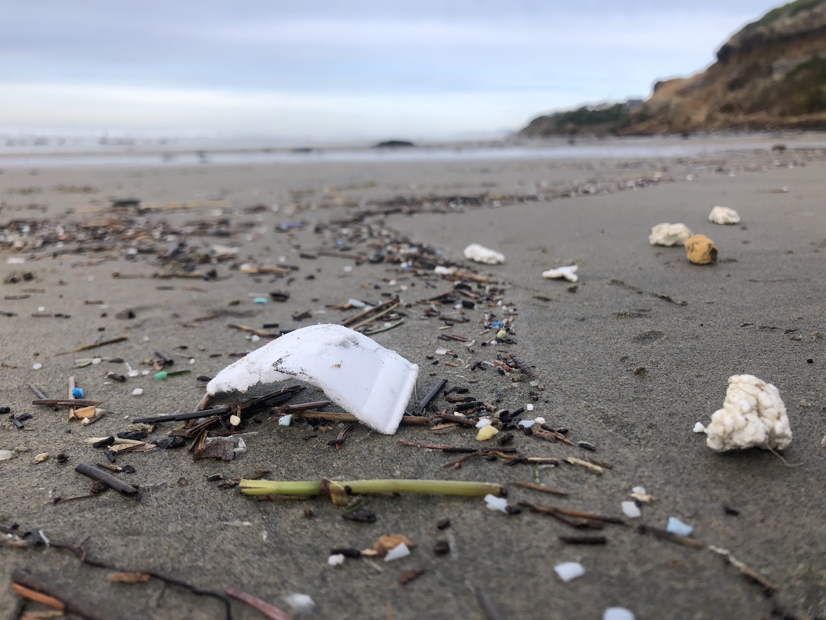 oregonsurfrider's tweet photo. Plastic Pollution Policies are on the move in #oreleg! Last week the reusables bill passed the Senate floor and yesterday the foam ban passed out of committee - @SenatorJaneenSollman @enviroregon @oceana @OurOcean - https://t.co/CTXMhbEZ8P https://t.co/Xx03o9zbbr