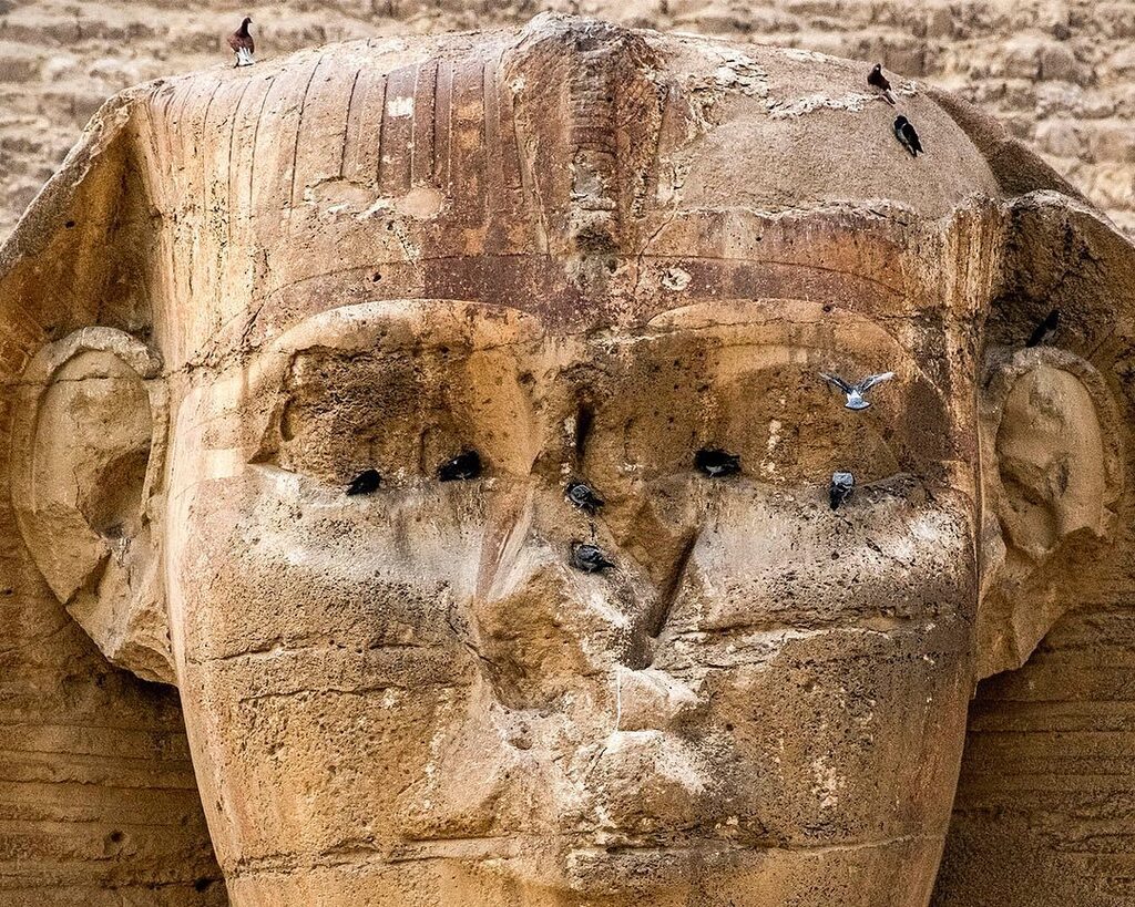 amakar's tweet photo. Landing vector.
#Fuji #Fujifilm #XT3 #🗻 #Technicolour #Sphinx #GreatSphinx #Khafre #Chephren #Pyramid #GreatPyramid #Giza #Pyramids #GizaPyramids #GizaNecropolis #AncientEgypt #أبو_الهول
#CAI #🇪🇬 #Egypt #مصر #Giza #GizaPyramids
#Everyday #EverydayEve… https://t.co/vX8AF9QDK0 https://t.co/aetSn9rfXb