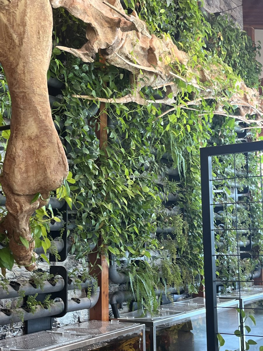 MsChenCoolCat's tweet photo. During Spring Break, we went to check out the newly renovated Expiration Place. Plus, the cafe offer some amazing food. https://t.co/ioKp0z2iwR