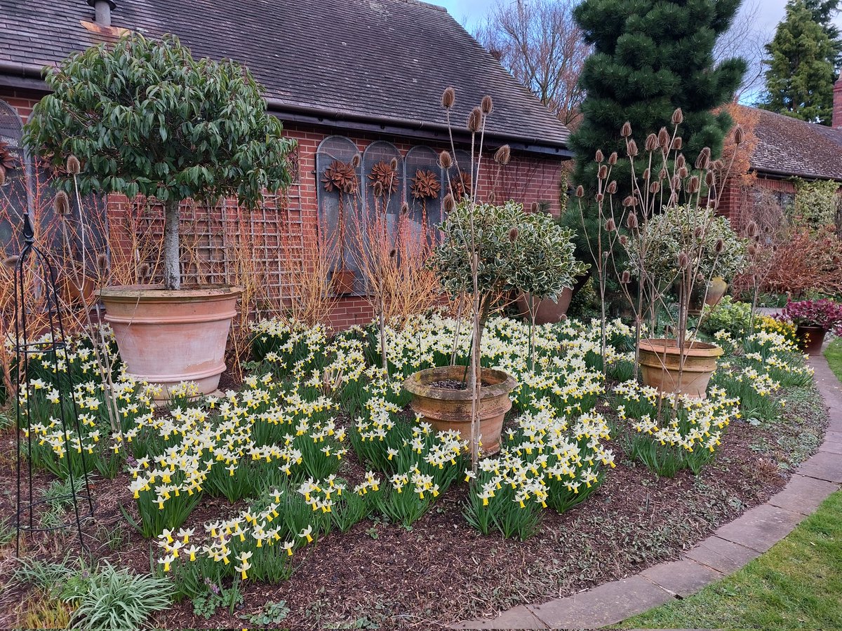 John's Garden tweet media