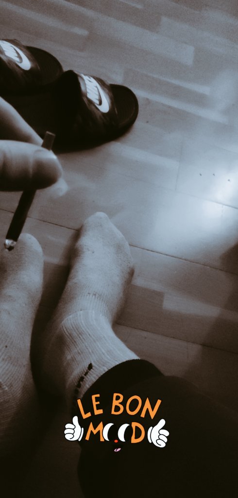 Reine Maria ( new account ) tweet media